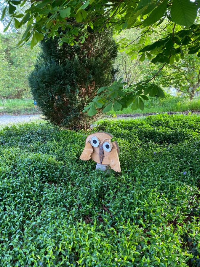 Urlaub In Der Natur 뤼덴샤이드 외부 사진